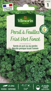 Persil Frisé Vert Foncé